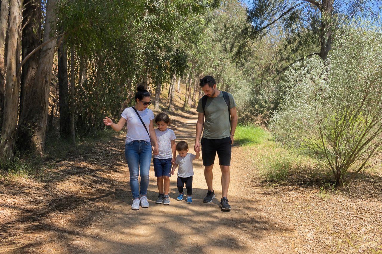 יער אילנות - גן בוטני ומרכז מבקרים