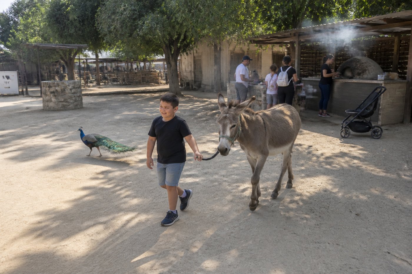 החווה בגבעה - גבעת ברנר