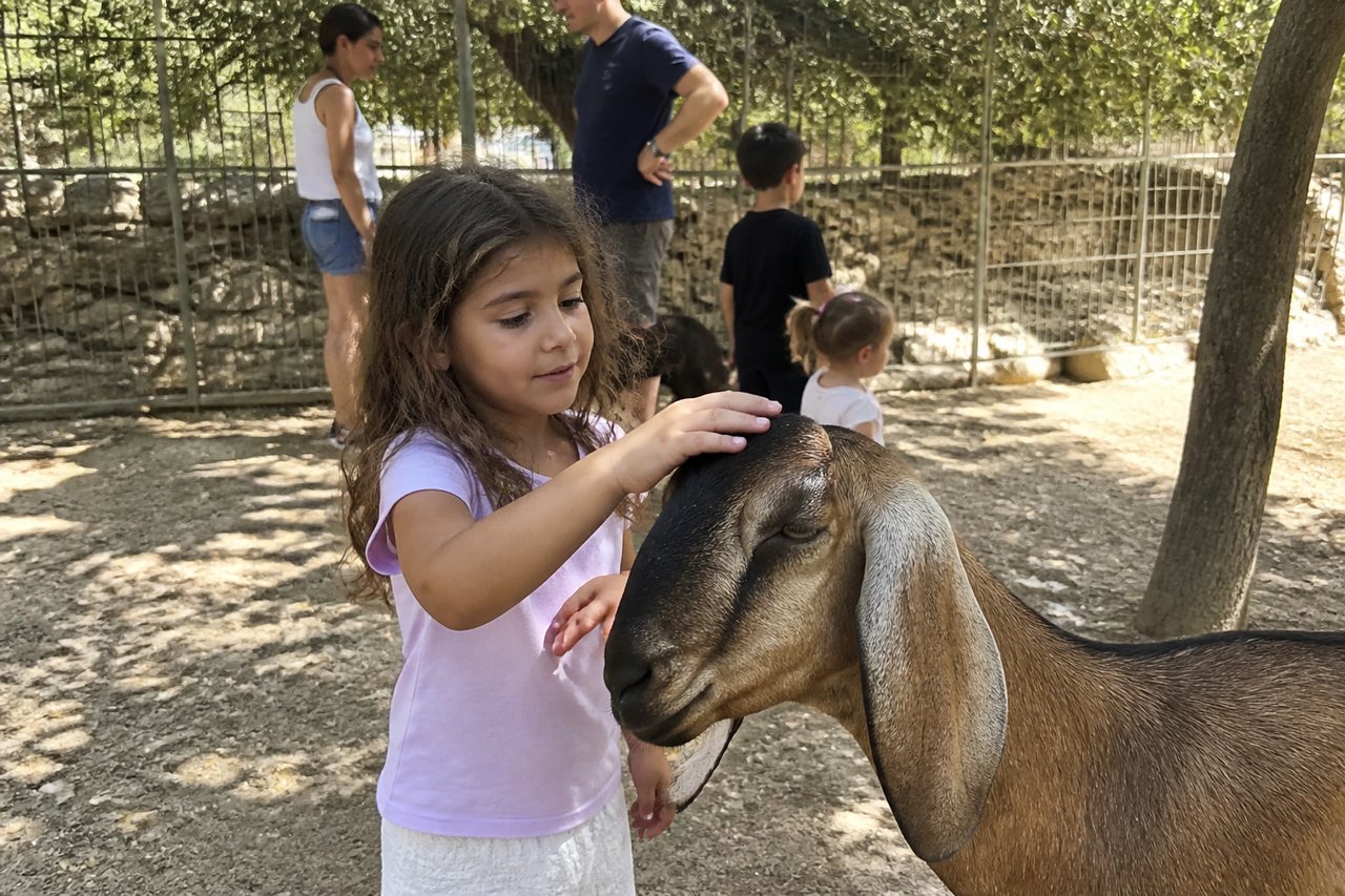 המרכז הארצי להצלת צבי הים (מיכמורת)